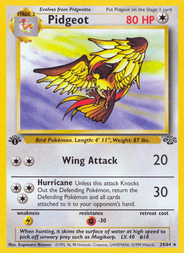 Pidgeot, carta 24 de Jungla