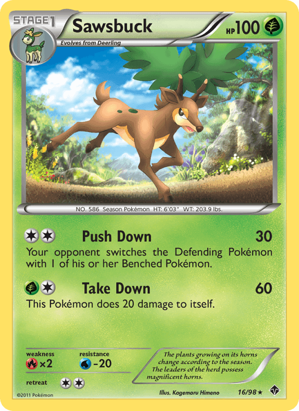 Emerging Powers の 16 番、Sawsbuck