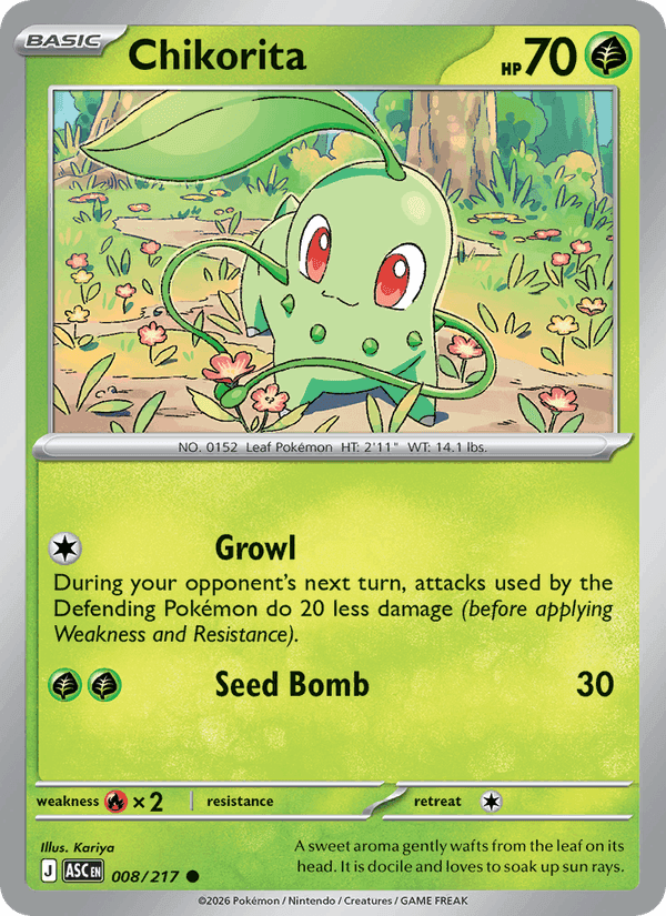 Ascended Heroes の 008 番、Chikorita