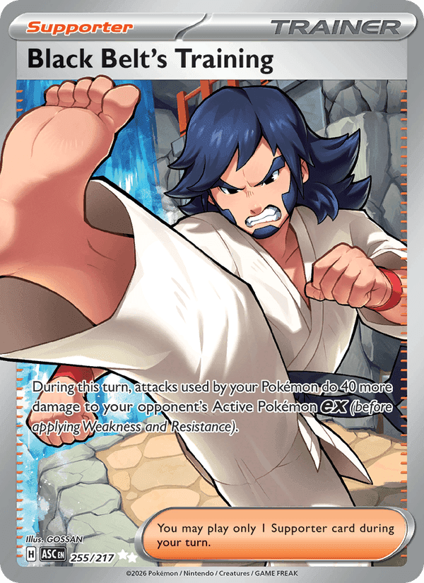 Black Belt's Training, card 255 from Ascended Heroes