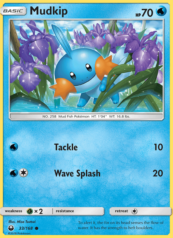 裂空のカリスマ の 33 番、Mudkip
