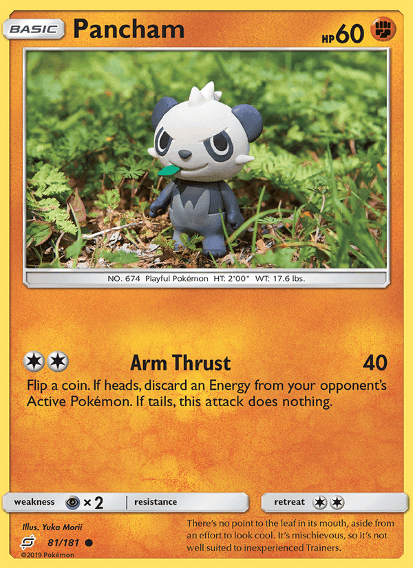 Pancham, card 81 from Team Up