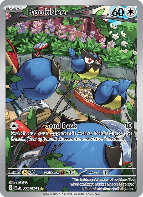 Rookidee, card 225 from Paldea Evolved