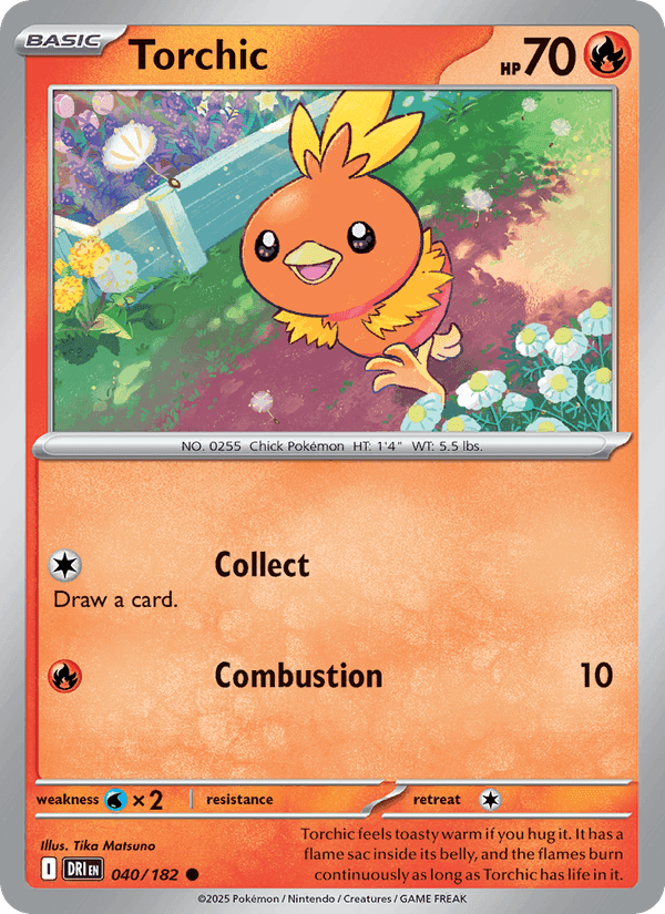 Torchic, card 040 from Destined Rivals