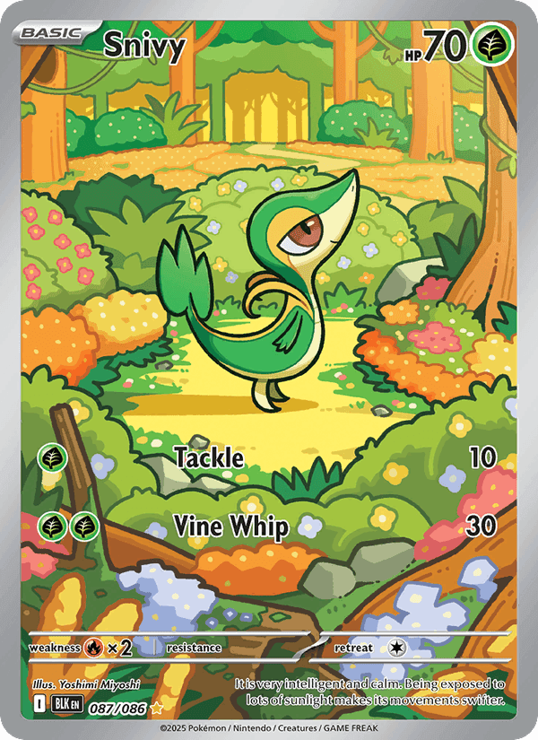 Snivy, card 087 from Black Bolt