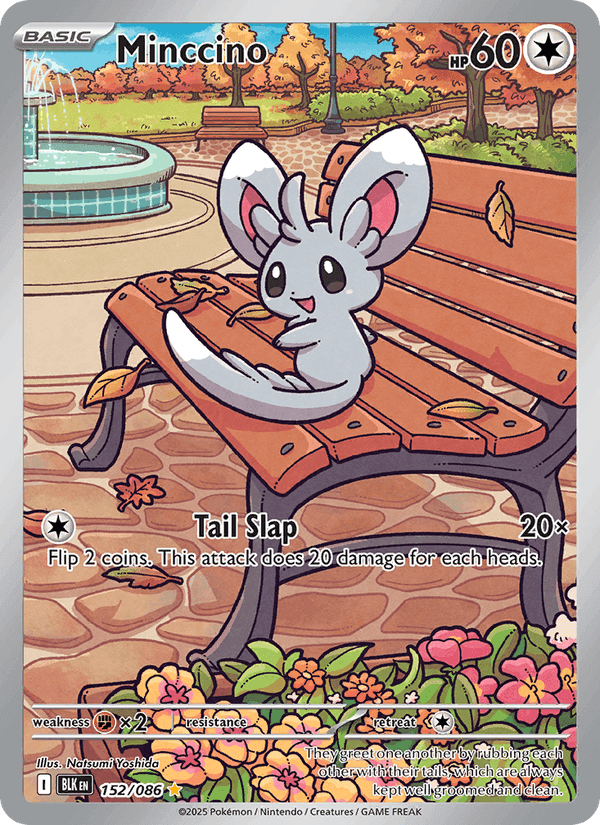 Black Bolt の 152 番、Minccino