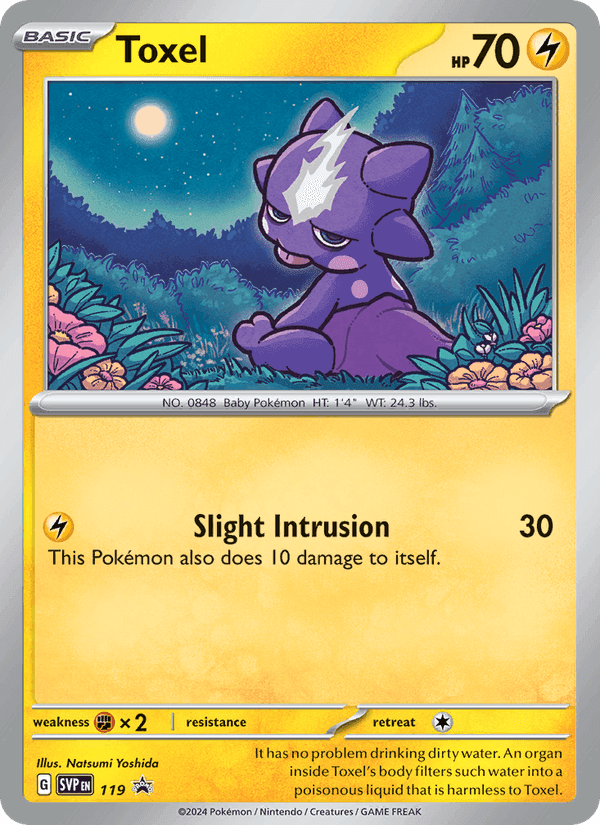 Toxel, carte 119 de SVP Black Star Promos