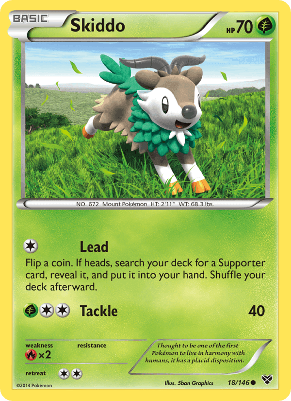 XY の 18 番、Skiddo