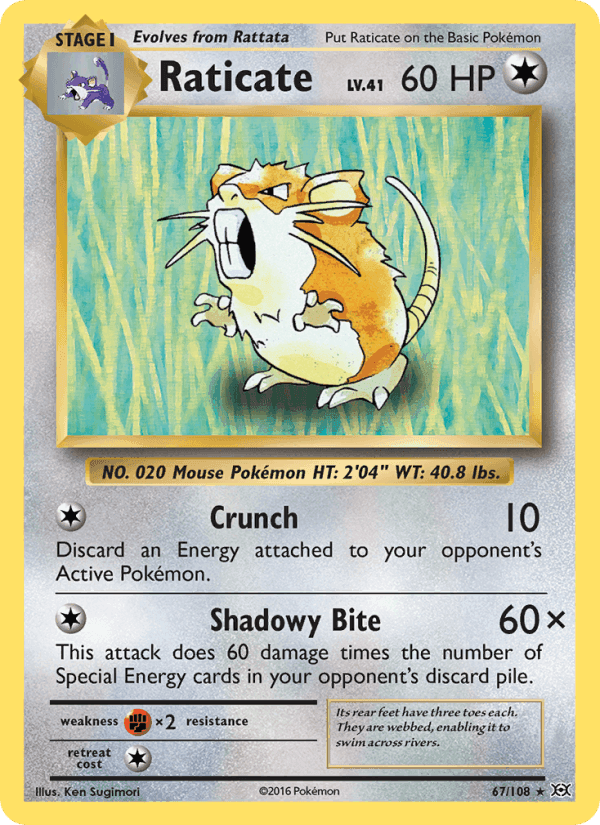 Raticate, card 67 from Evolutions