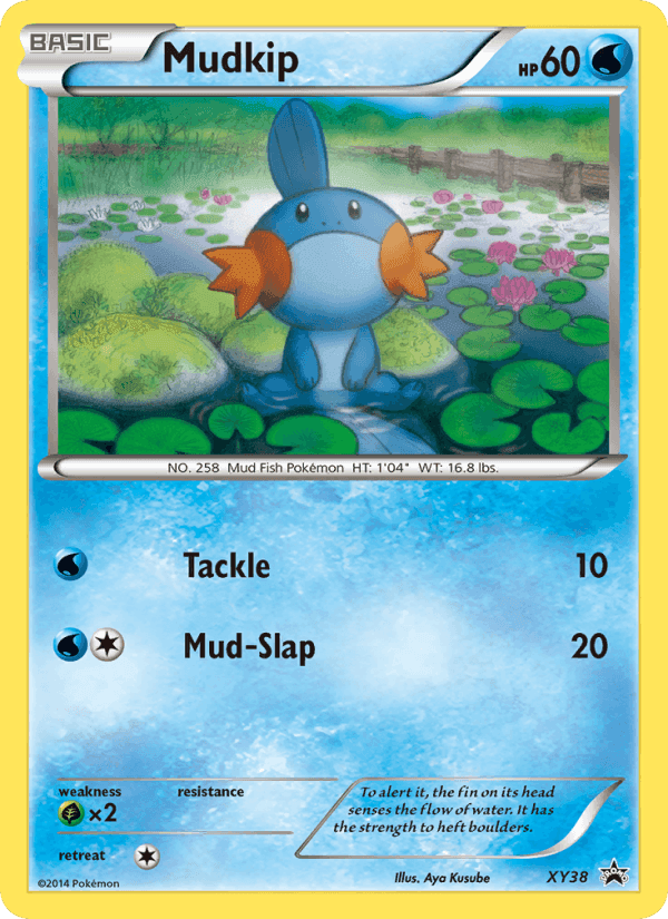 Mudkip, card XY38 from XY Black Star Promos