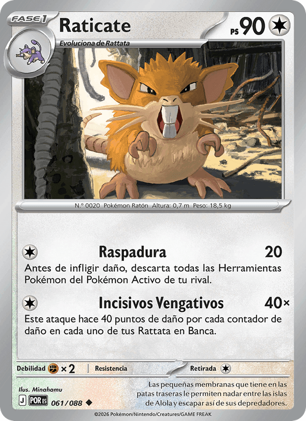 Raticate, carta 061 de Equilibrio Perfecto