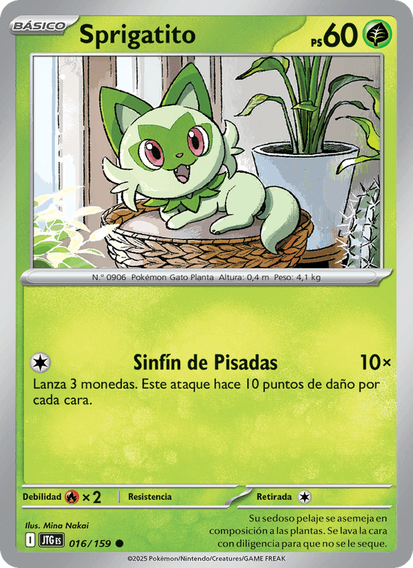 Sprigatito, card 016 from Juntos de Aventuras