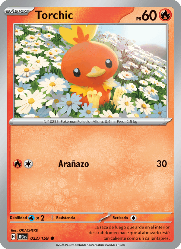 Juntos de Aventuras の 022 番、Torchic