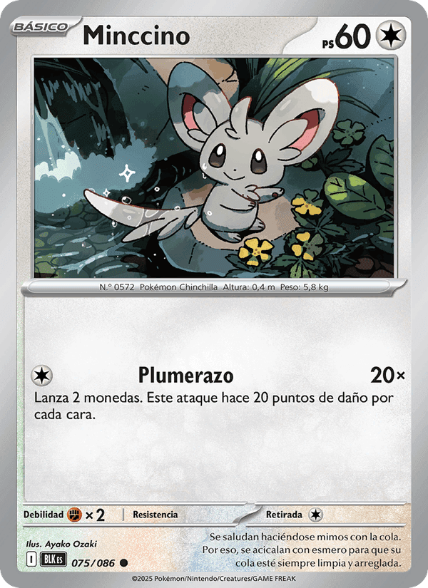 Minccino, carte 075 de Fulgor Negro
