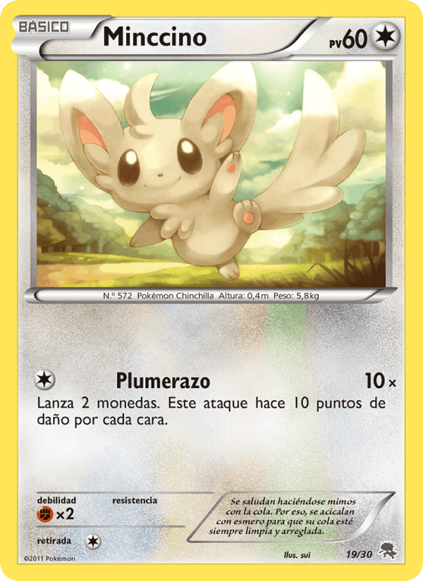 Minccino, card 19 from Kit de Entrenador XY (Pikachu Enmascarada)