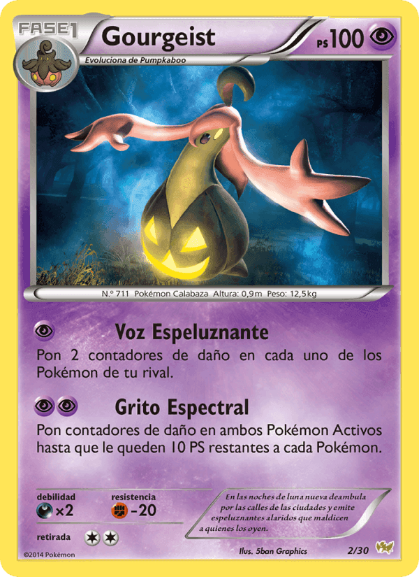 Gourgeist, carta 2 di Kit de Entrenador XY (Noivern)