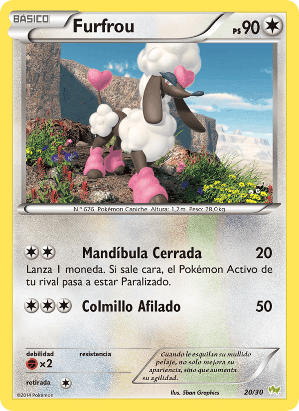 Furfrou, carta 20 de Kit de Entrenador XY (Noivern)