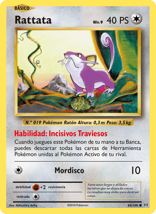 Rattata, card 66 from Evoluciones