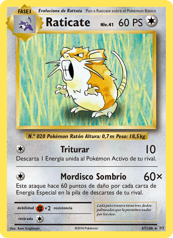 Raticate, carta 67 de Evoluciones