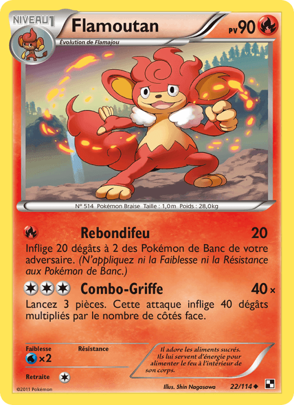 Flamoutan, carte 22 de Noir & Blanc