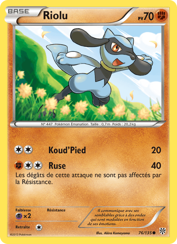 Riolu, carte 76 de Tempète Plasma