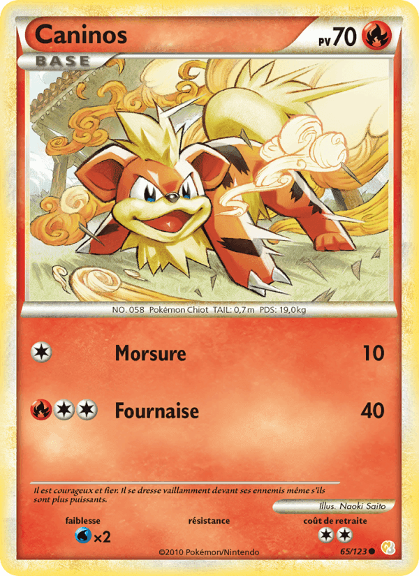 Caninos, carte 65 de HeartGold SoulSilver