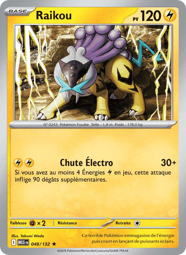 Raikou, card 048 from Méga-Évolution