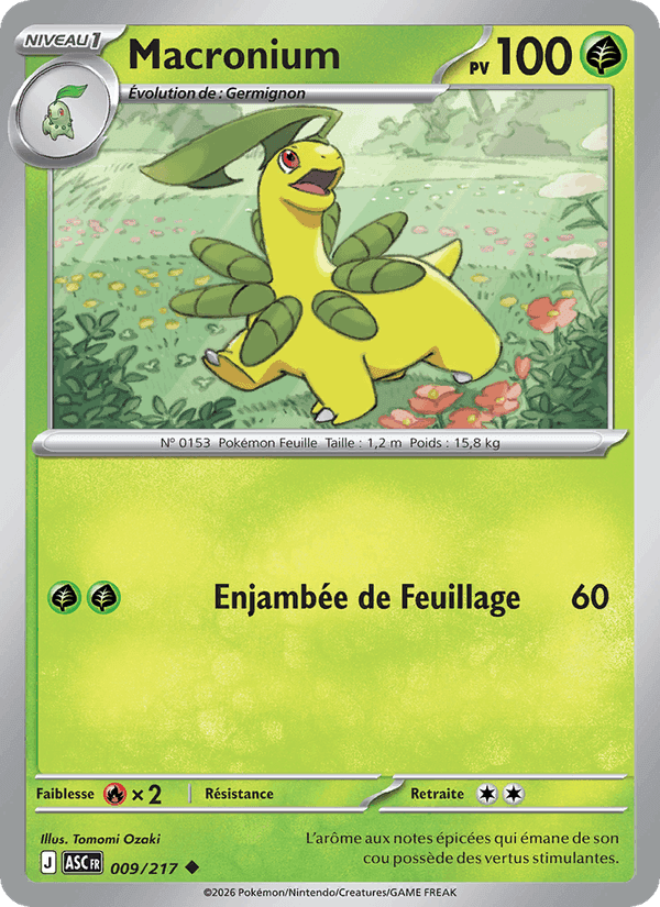 Macronium, carte 009 de Héros Transcendants