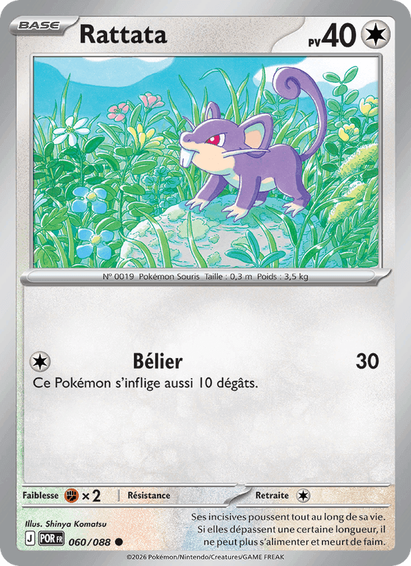 Rattata, carte 060 de Équilibre Parfait