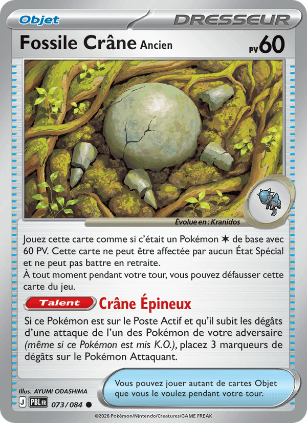 Fossile Crâne Ancien, carte 073 de Nuit Noire