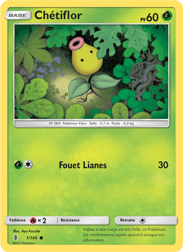 Chétiflor, carte 1 de Gardiens Ascendants