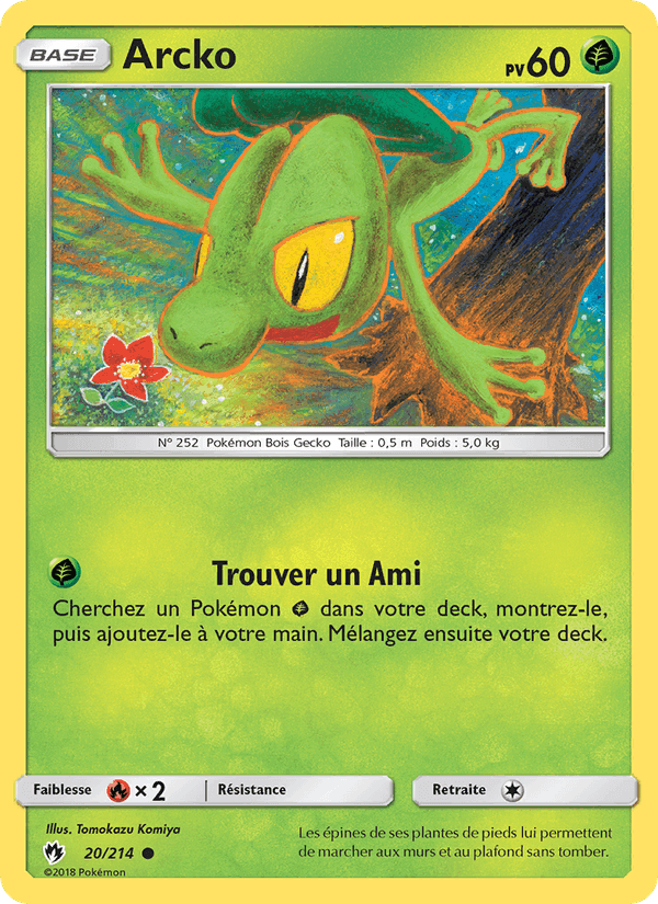 Arcko, card 20 from Tonnerre Perdu