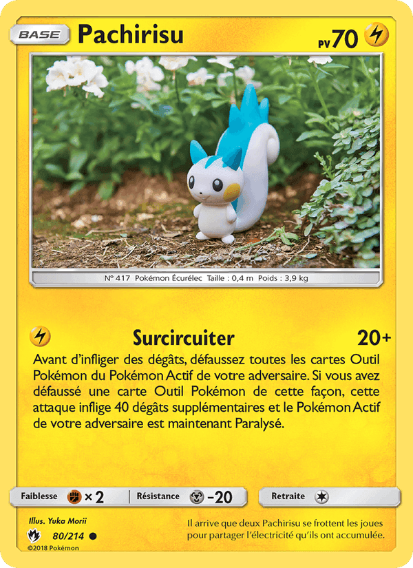 Pachirisu, carte 80 de Tonnerre Perdu
