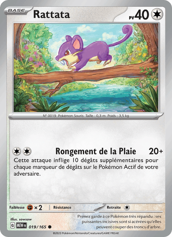 151 の 019 番、Rattata