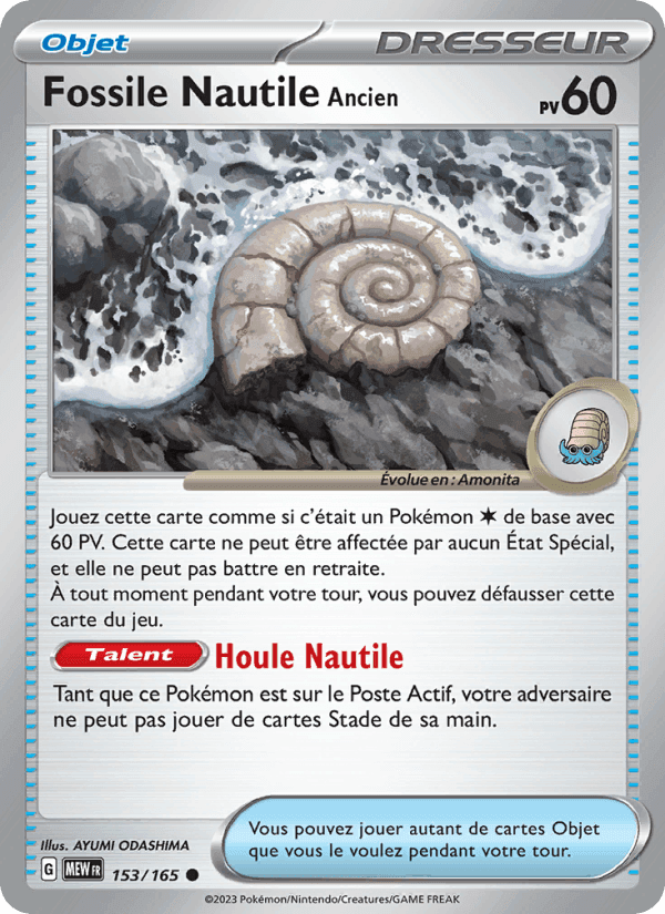 Fossile Nautile Ancien, carte 153 de 151