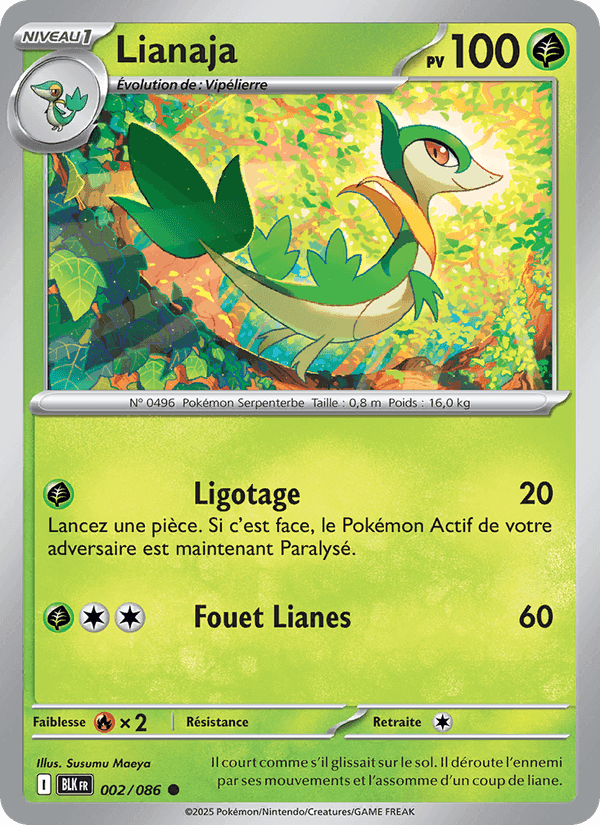 Lianaja, carte 002 de Foudre Noire