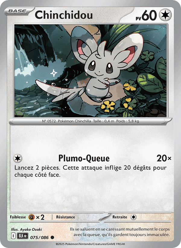 Chinchidou, carte 075 de Foudre Noire