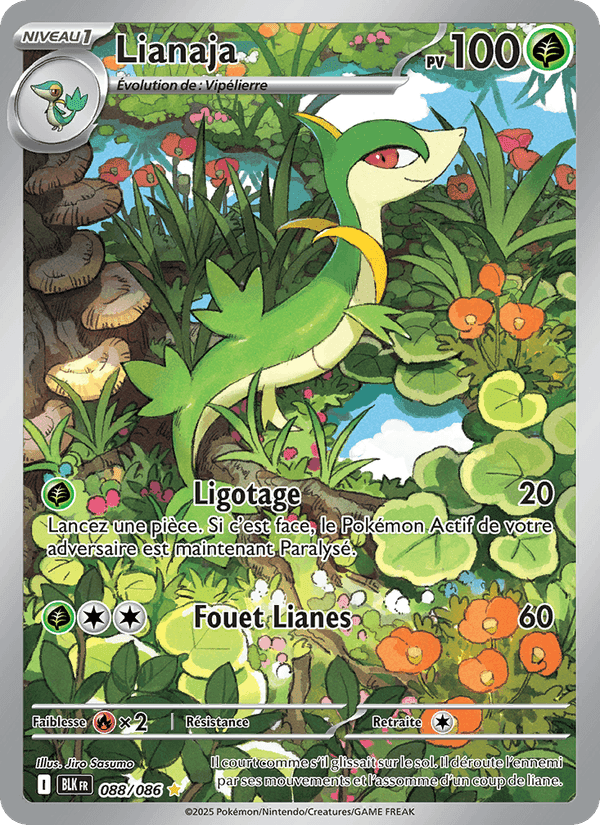 Lianaja, card 088 from Foudre Noire