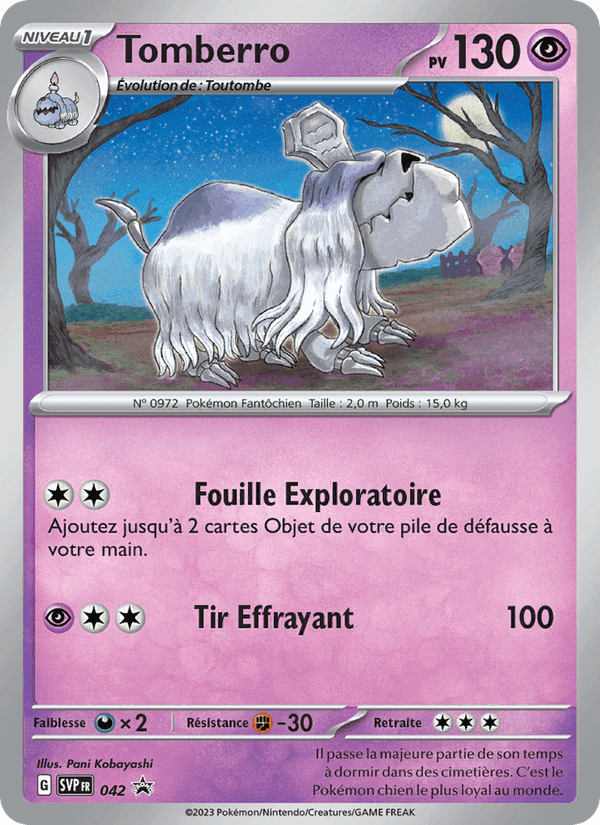 Tomberro, carte 042 de SVP Black Star Promos