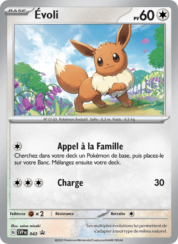 Évoli, carte 043 de SVP Black Star Promos