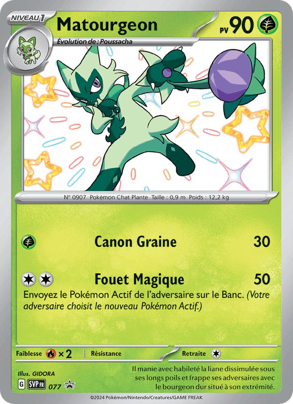 Matourgeon, carte 077 de SVP Black Star Promos