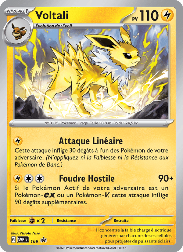 Voltali, card 169 from SVP Black Star Promos