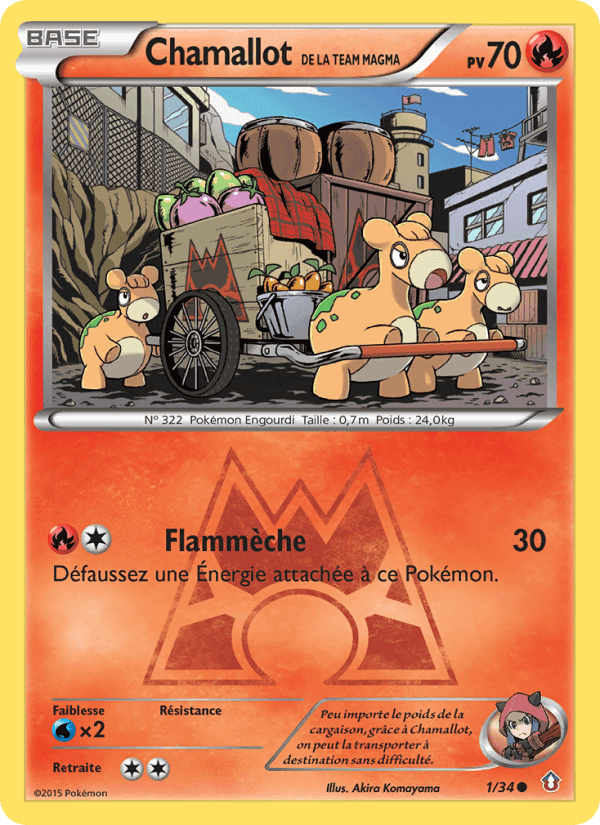 Chamallot de la Team Magma, carte 1 de Double Danger