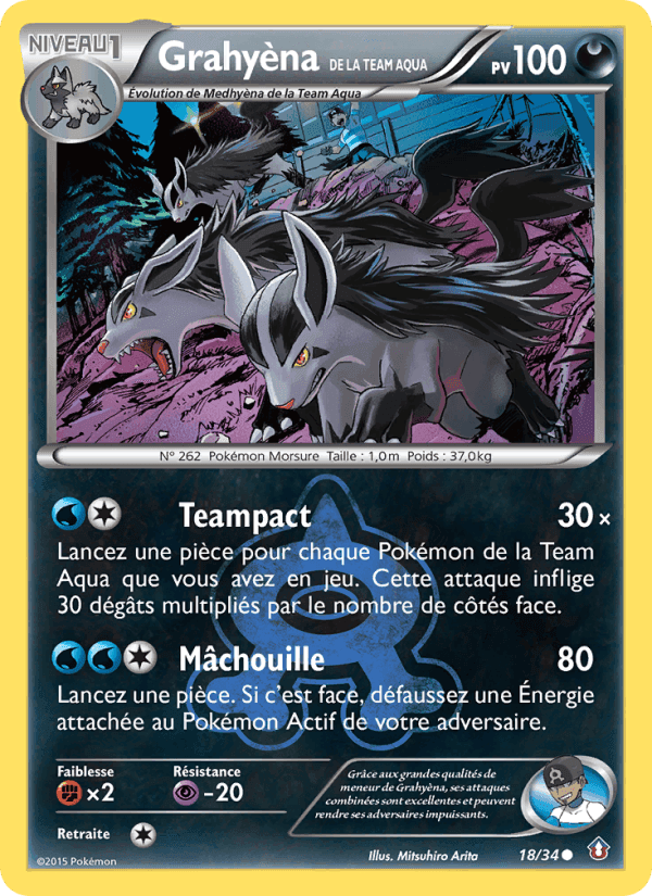 Grahyèna de la Team Aqua, carte 18 de Double Danger