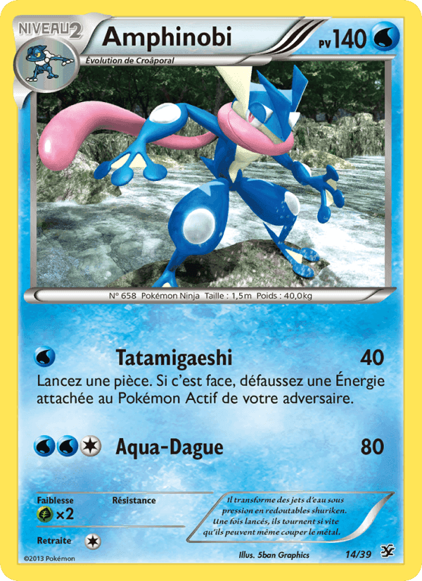 Bienvenue à Kalos の 14 番、Amphinobi