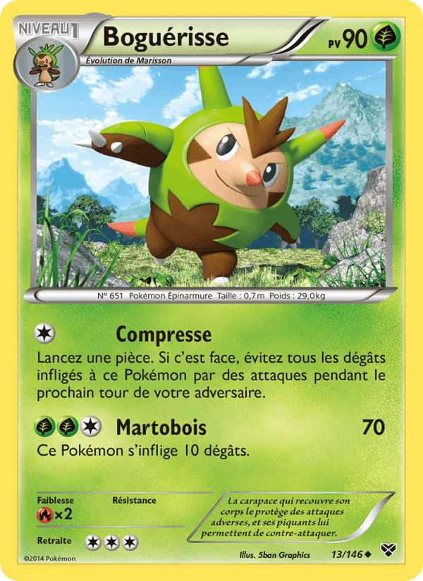 Boguérisse, carte 13 de XY