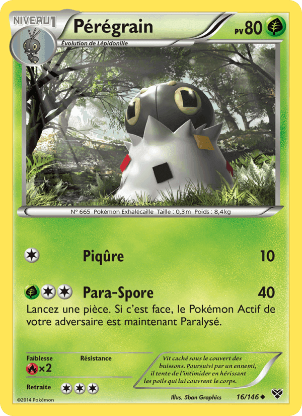 Pérégrain, carte 16 de XY