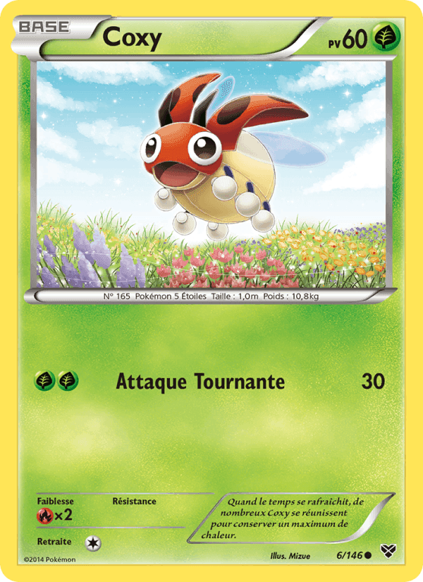 Coxy, carte 6 de XY