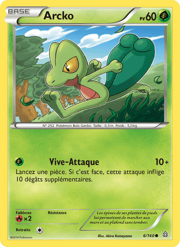 Arcko, carta 6 de Primo-Choc