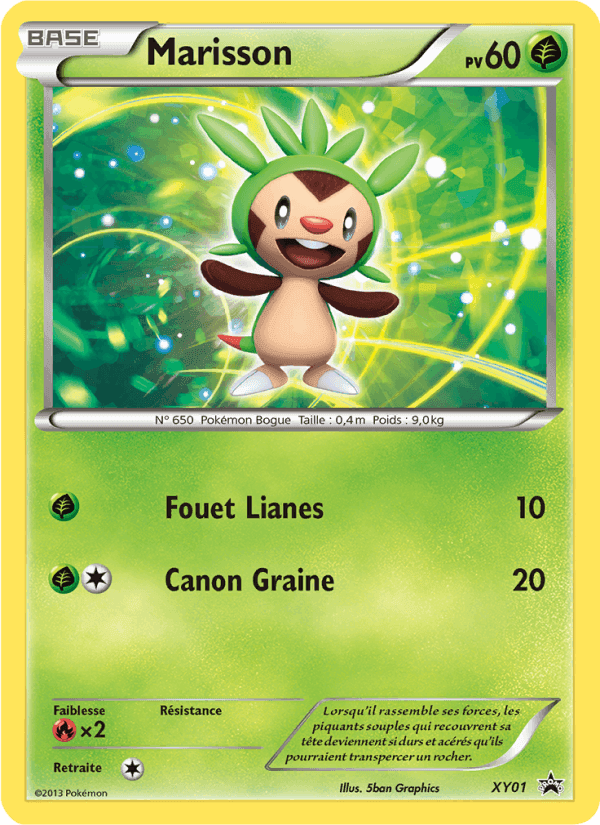 Marisson, carte XY01 de Promo XY